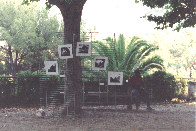 la ciotat expo stenope3.gif (23759 octets)